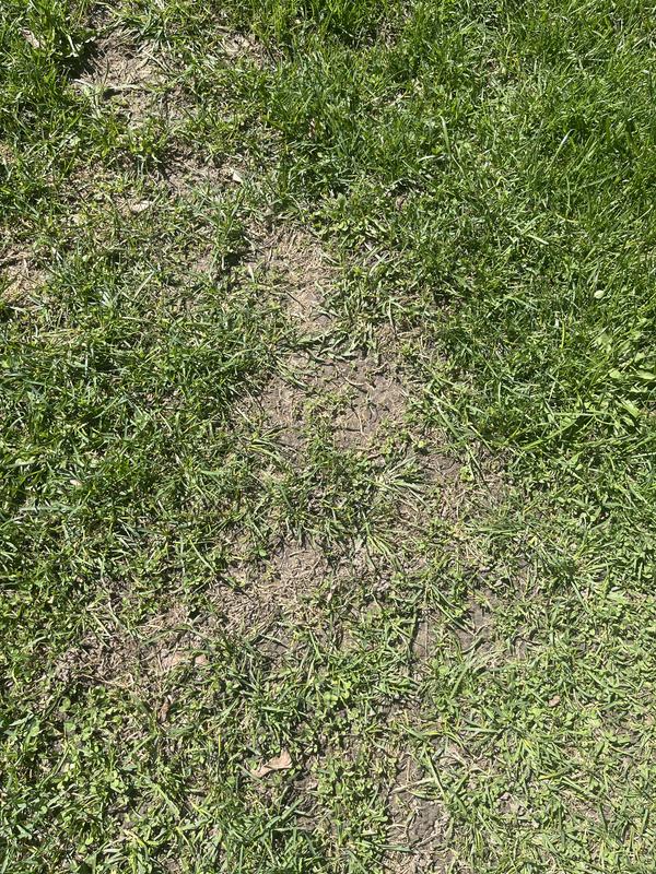 Review photo 2.