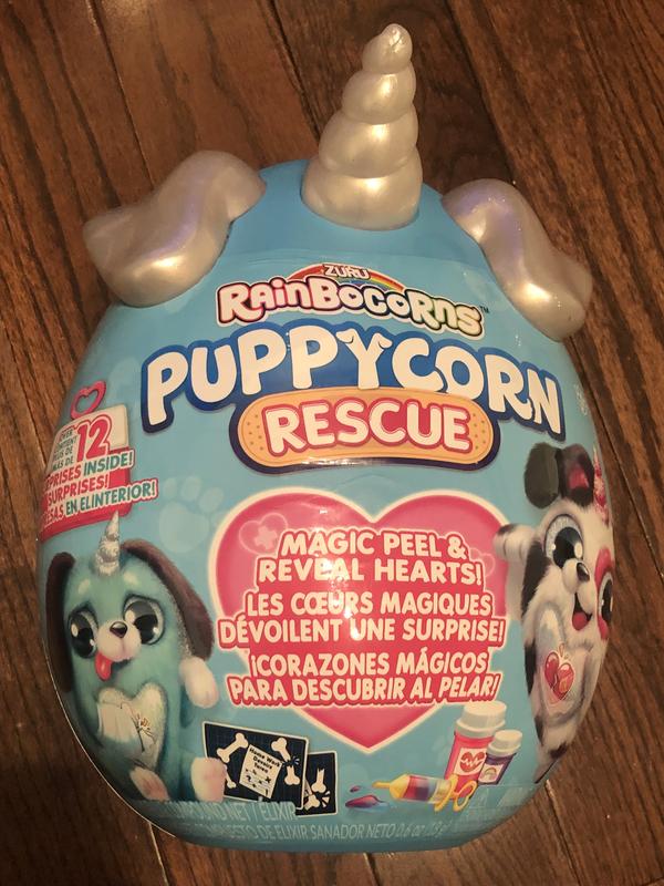 Photo - commentaire 1.