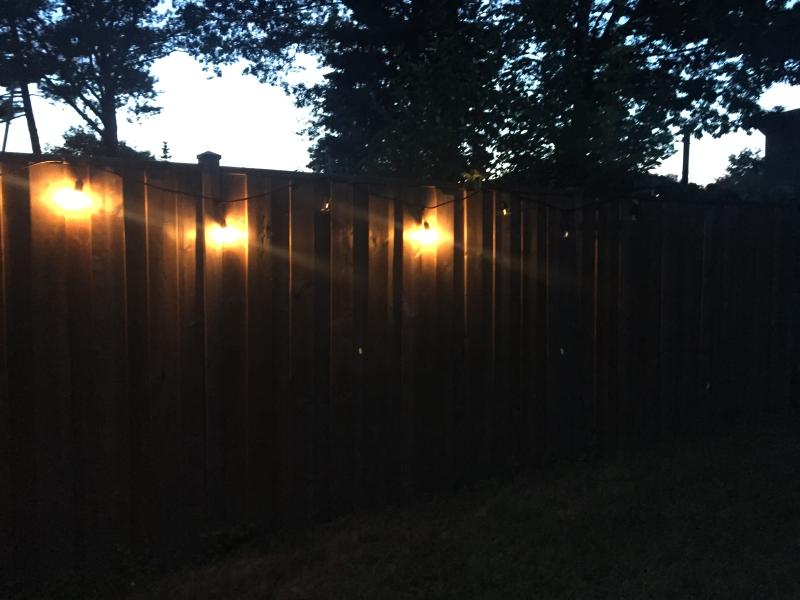 Photo - commentaire 3.