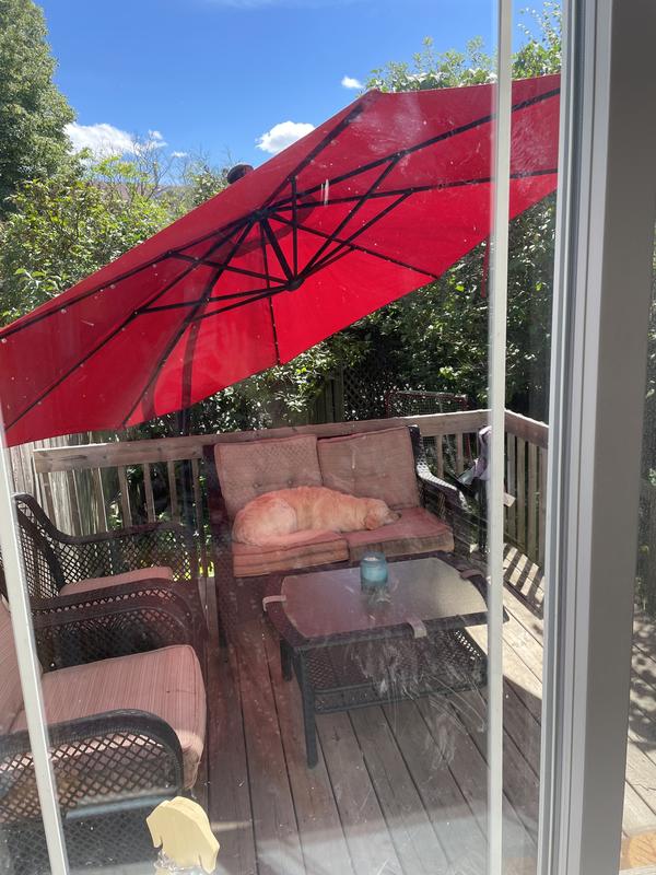 Photo - commentaire&nbsp;3.