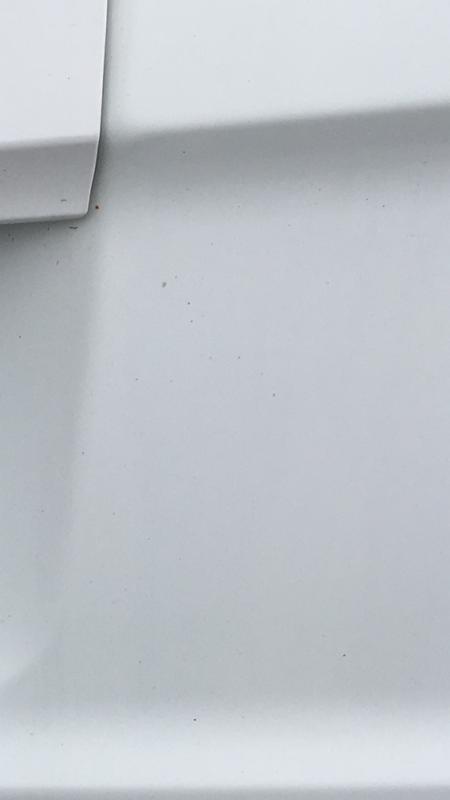 Tar bug still on car.