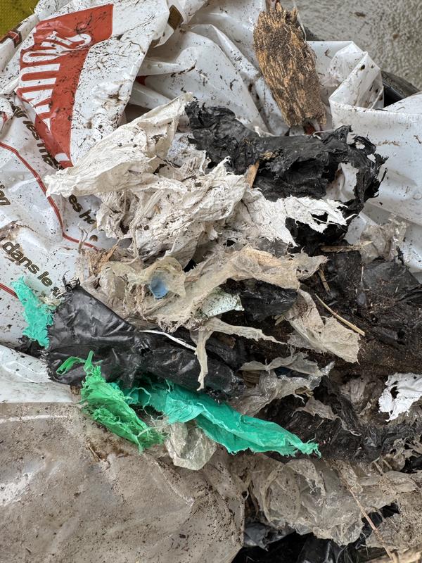 Photo - commentaire 7.