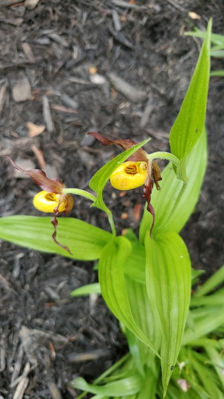 Photo - commentaire&nbsp;3.