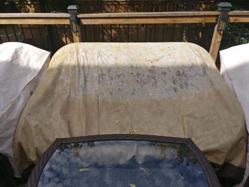 See my 2 chairs on either side? They have a cover that is 3 years old and shows no wear, just slight fading (but a different brand)