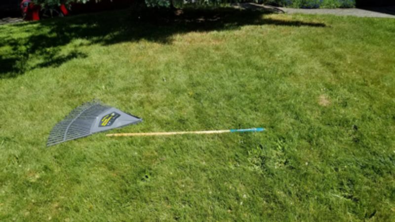 Normal condition - two pieces