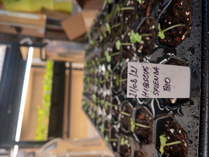 Photo - commentaire 3.