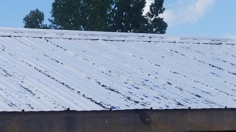 2 Days after painting