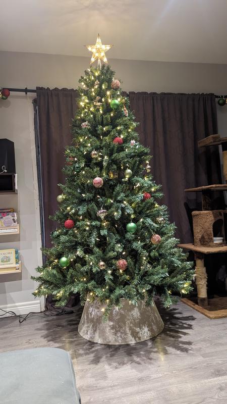 Photo - commentaire 7.