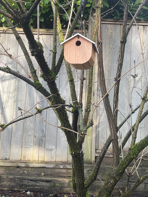 Birdhouse for lease