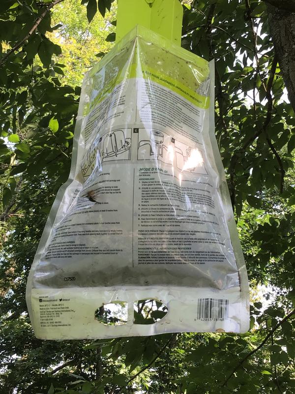 Half full bag ready to empty