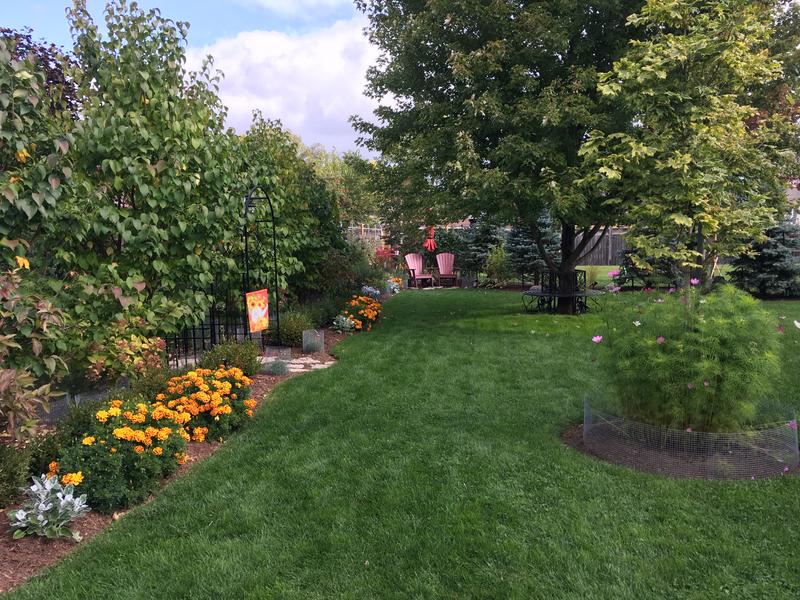 Photo - commentaire&nbsp;8.