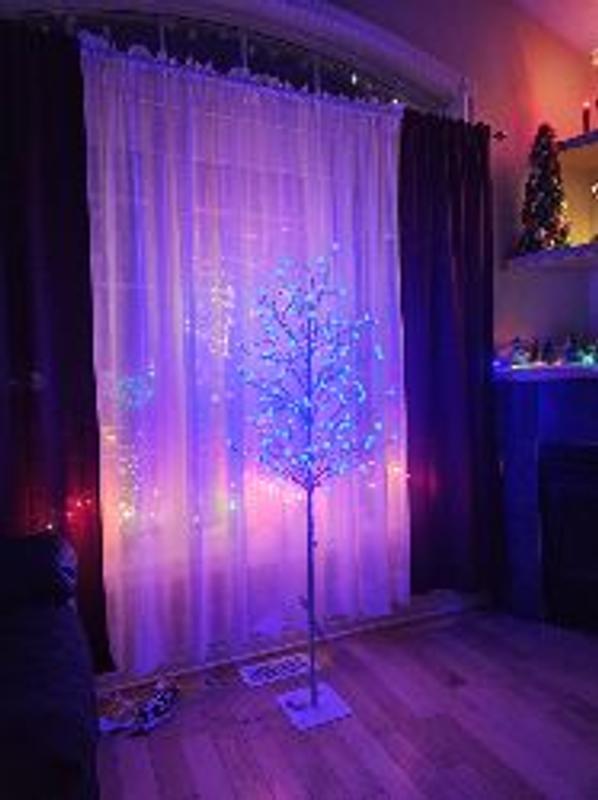 Photo - commentaire&nbsp;2.