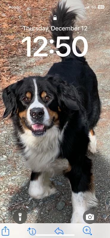 Photo - commentaire&nbsp;1.