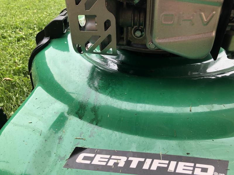 Photo - commentaire 8.