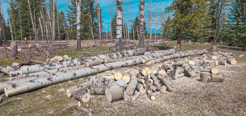 After 3 battery charges