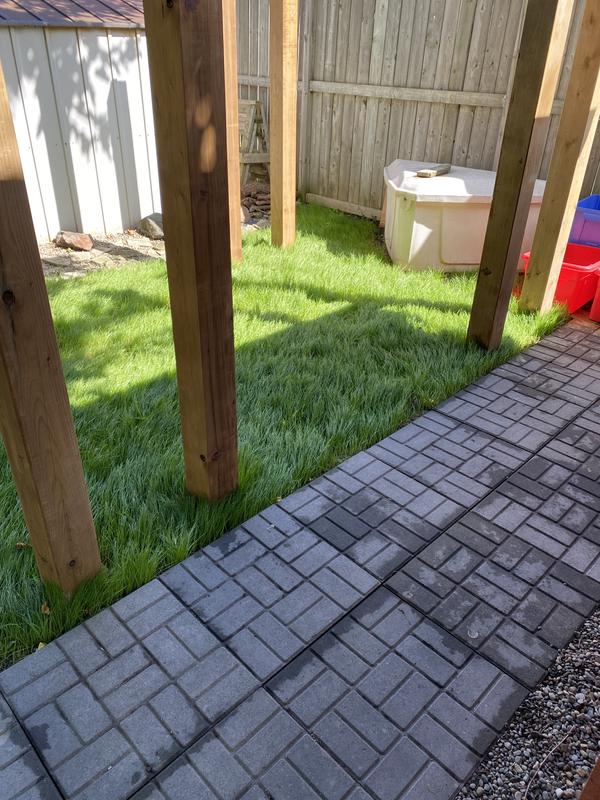 Garden club seed 10 days