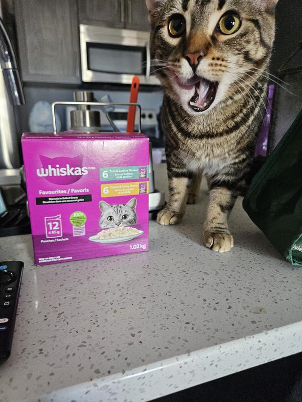 My Cat Before and After Eating Whiskas