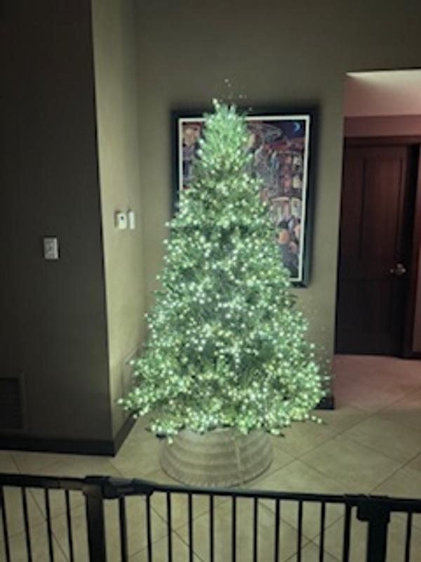 Photo - commentaire 7.