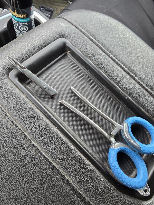 Photo - commentaire 2.