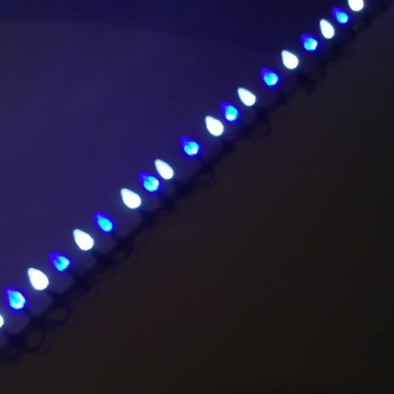 Photo - commentaire 7.