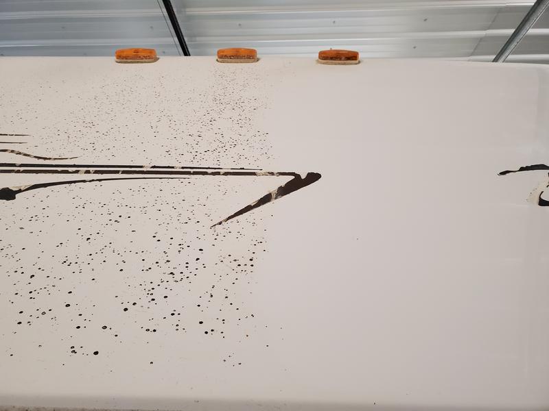 Before is the oxidized areas with the lichens and after initial polish is the shiny areas.