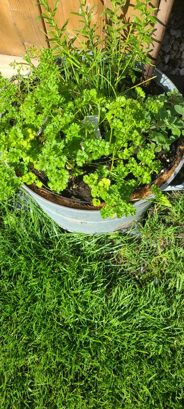 Photo - commentaire 2.