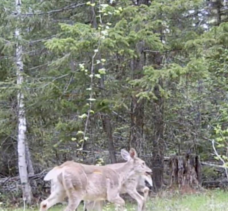 Photo - commentaire&nbsp;3.