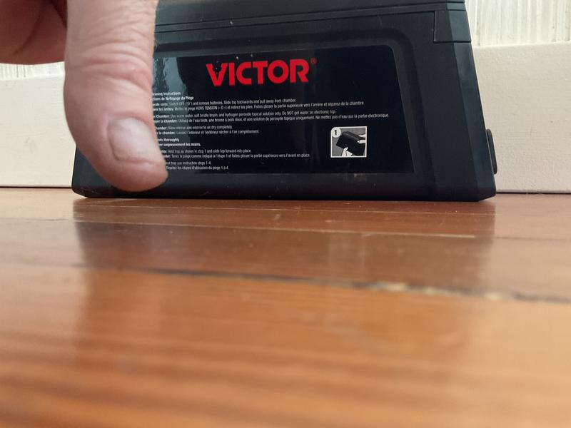 Two thumbs down. I could only show one because I had to hold the camera with the other one.