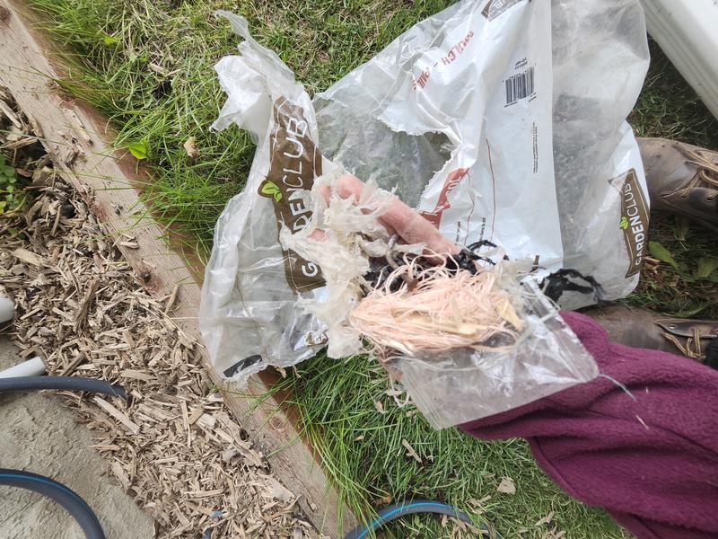 Photo - commentaire 3.