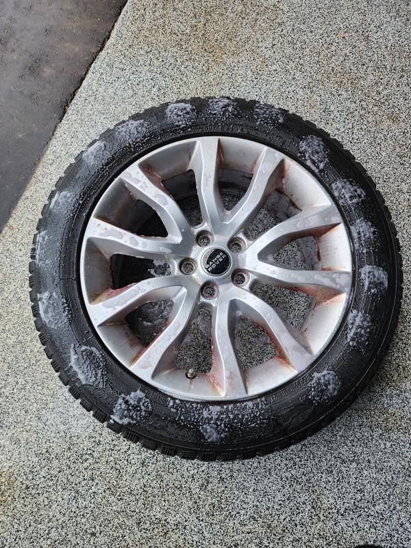 Photo - commentaire&nbsp;5.