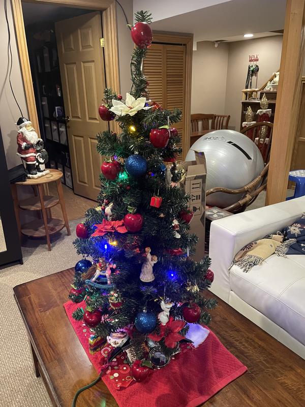 Photo - commentaire 6