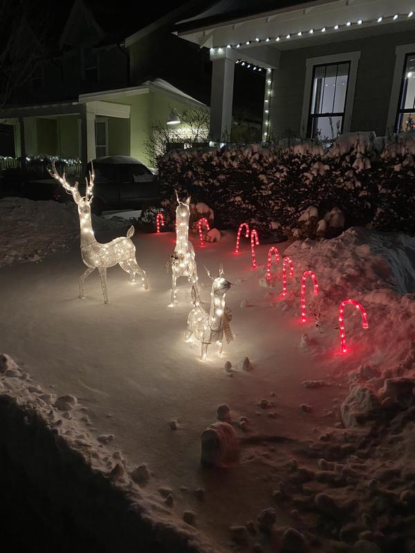 Photo - commentaire 6.