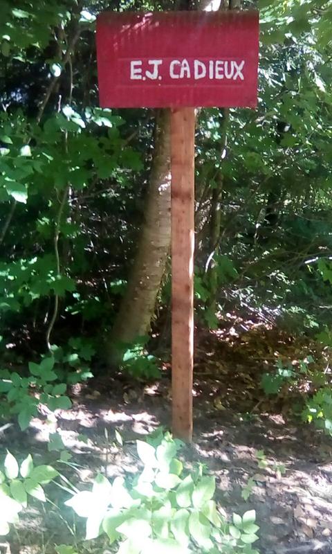 Cottage Mailbox Sign Repair