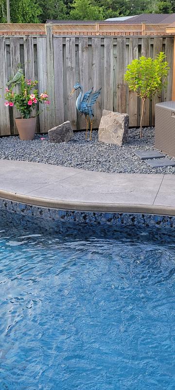 Photo - commentaire 1.