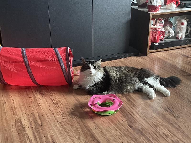 Photo - commentaire 3.