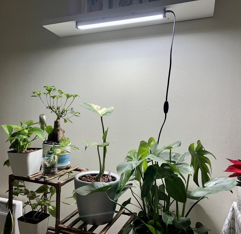 A must have for plant parent growing indoors.