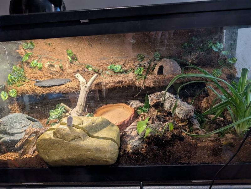 je l'ai utiliser pour fixer les décor et le deuxième étage