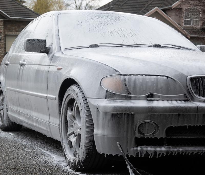 Photo - commentaire 2.