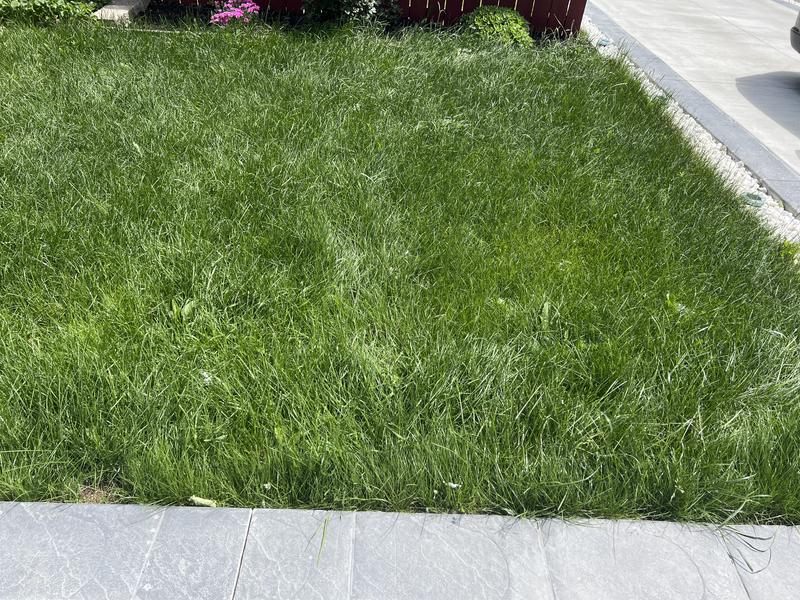 Photo - commentaire&nbsp;2.