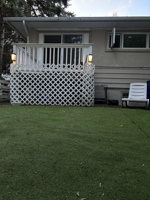 Makes the backyard look amazing!