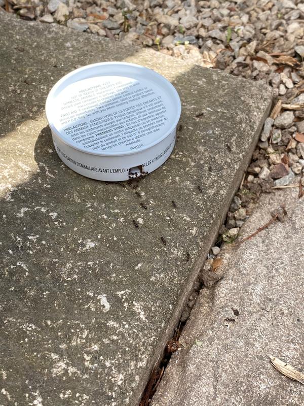 Photo - commentaire&nbsp;1.