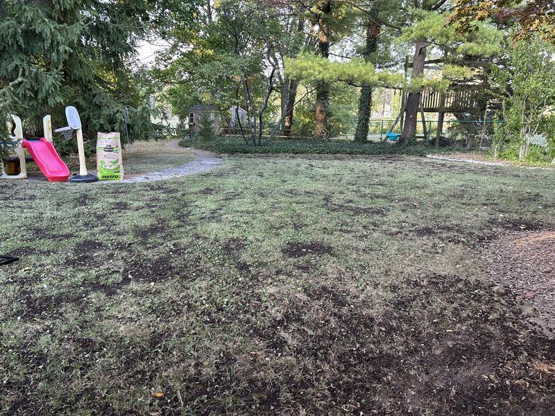 Photo - commentaire&nbsp;3.