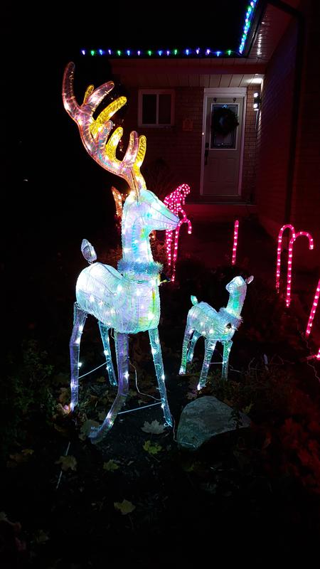 Photo - commentaire 5.