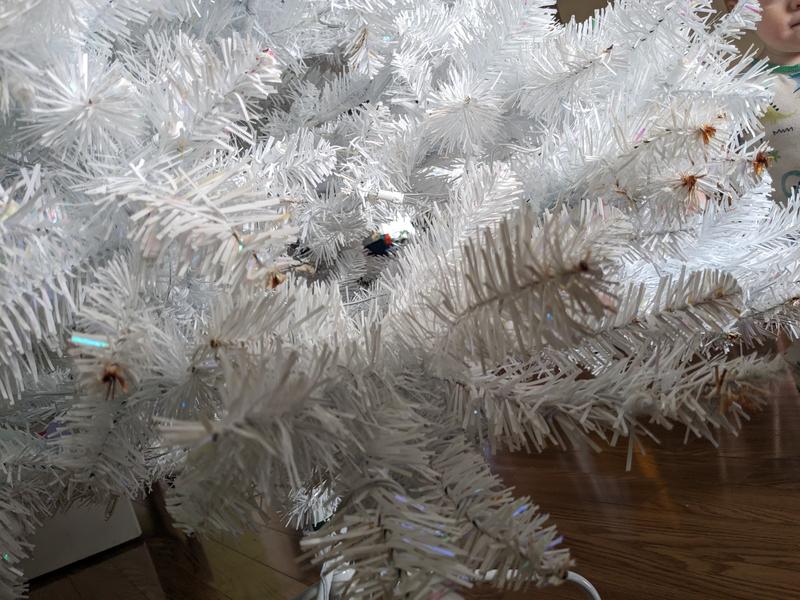 Photo - commentaire 5.