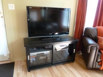 Stand with 42 inch TV