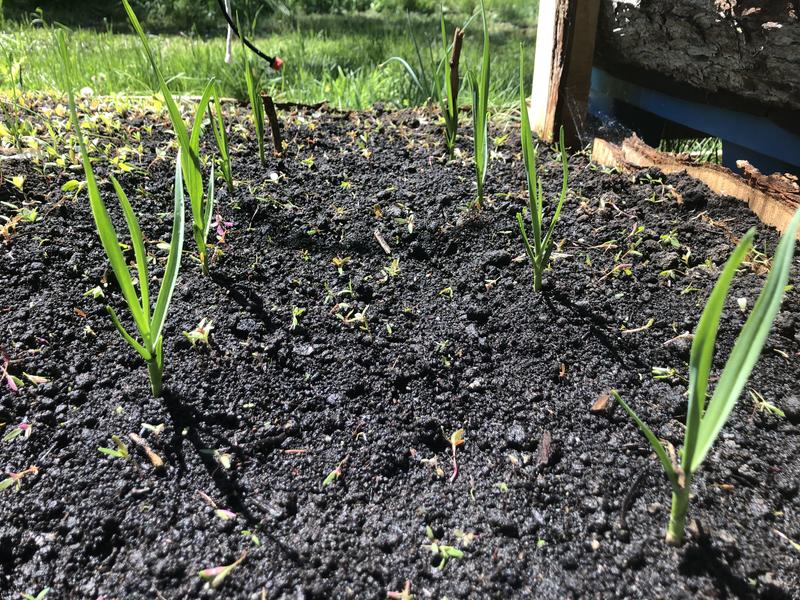 Photo - commentaire&nbsp;3.