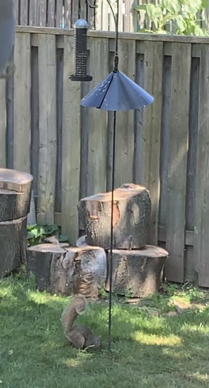 He tried, but gave up.