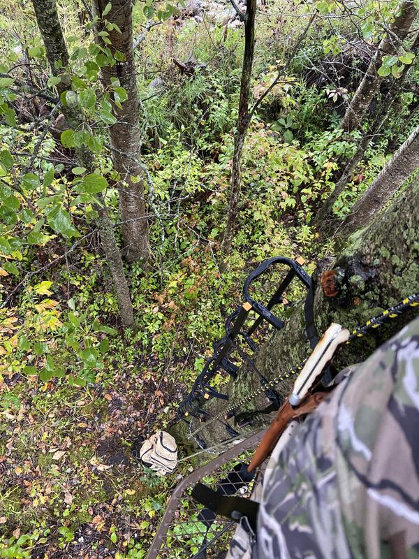 Photo - commentaire&nbsp;3.