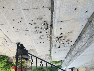 Photo - commentaire&nbsp;5.