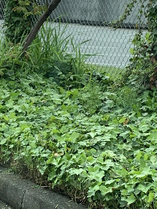 Photo - commentaire&nbsp;8.